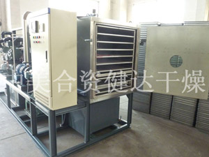 冷冻真空干燥机