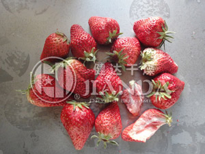 冷冻真空干燥机